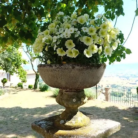 Residenza Messer Pajola * Assisi